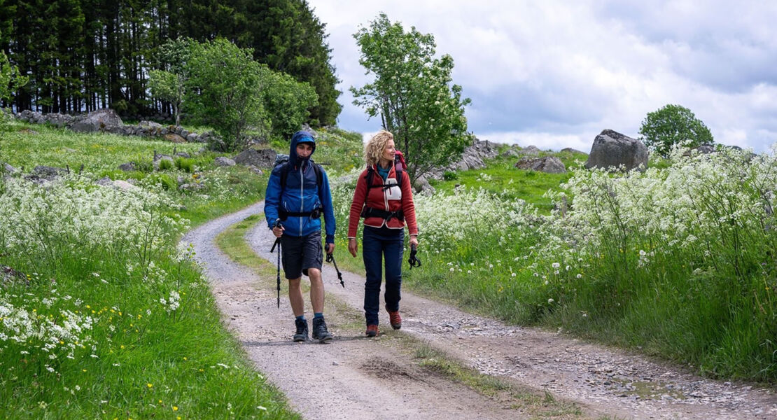 film-cafe-die-camino-therapie-finde-deinen-weg