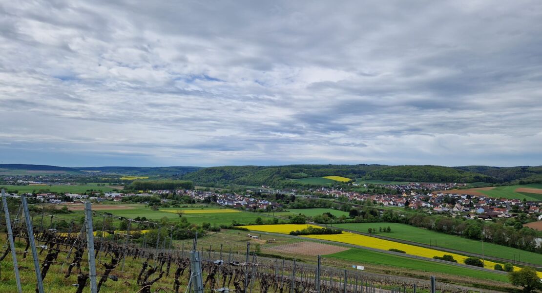 weinbergswanderung-auf-dem-humoristischen-weinerlebnisweg-in-himmelstadt