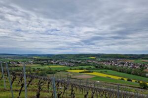 Weinbergswanderung auf dem Humoristischen Weinerlebnisweg in Himmelstadt