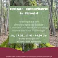 Roßbach - Spessartfährte im Biebertal