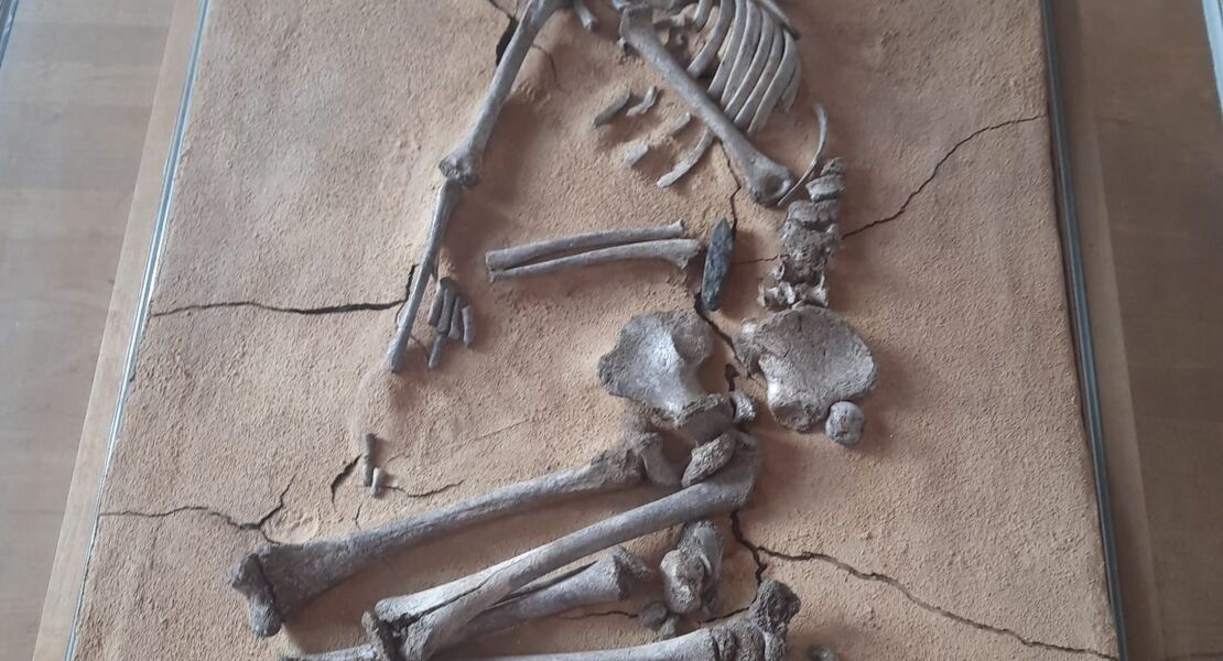 tauberfrankisches-landschaftsmuseum-tauberbischofsheim-offnet-seine-pforten