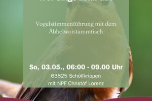 Wer singt denn da?