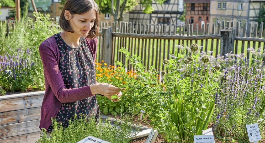 es-grunt-so-grun-pflanzen-im-dorf-und-drum-herum