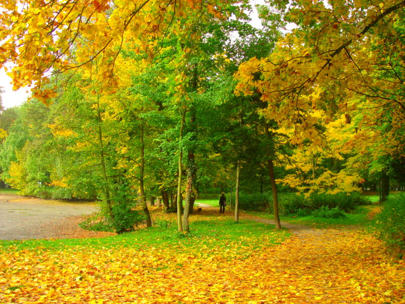 offentliche-schlossparkfuhrung-herbst-im-schlosspark