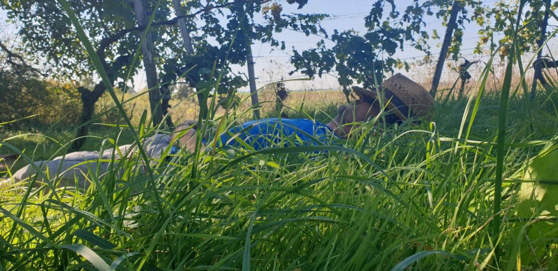 weinbaden-waldbaden-naturerlebnis-fur-alle-sinne