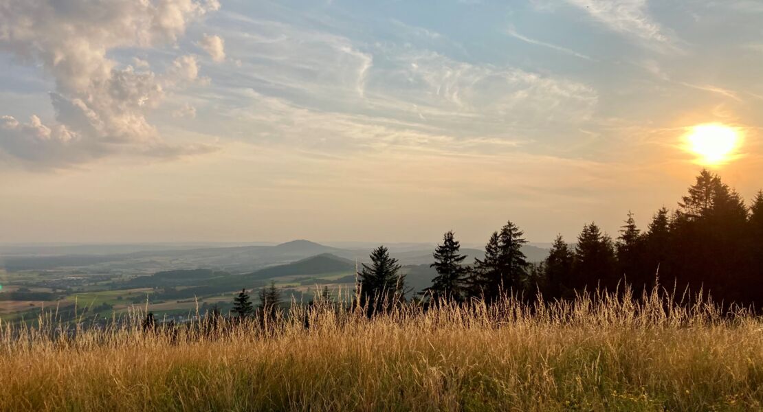 ausgebucht-rotmilanfuhrung-zum-gipfel-der-platzer-kuppe-gefuhrte-wanderung-mit-ranger-leonard-helfrich