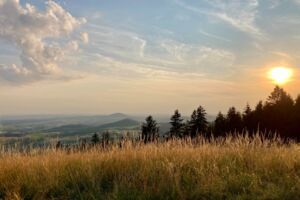 AUSGEBUCHT! Rotmilanführung zum Gipfel der Platzer Kuppe - Geführte Wanderung mit Ranger Leonard Helfrich