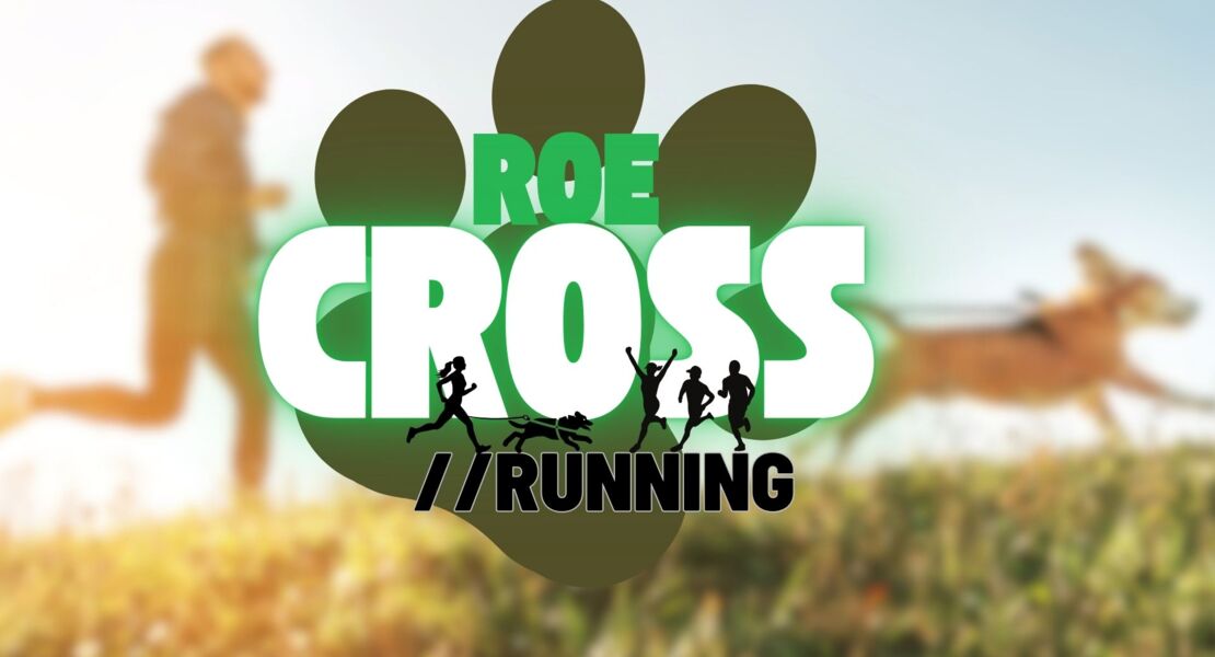 roe-cross-canicross-fruhlingslauf-fur-laufer-walker-der-region