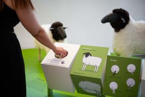 Führung: Rhönschaf, Rhönrad und Co. - Das Rhönmuseum gemeinsam entdecken