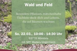 Kuriositäten in Wald und Feld