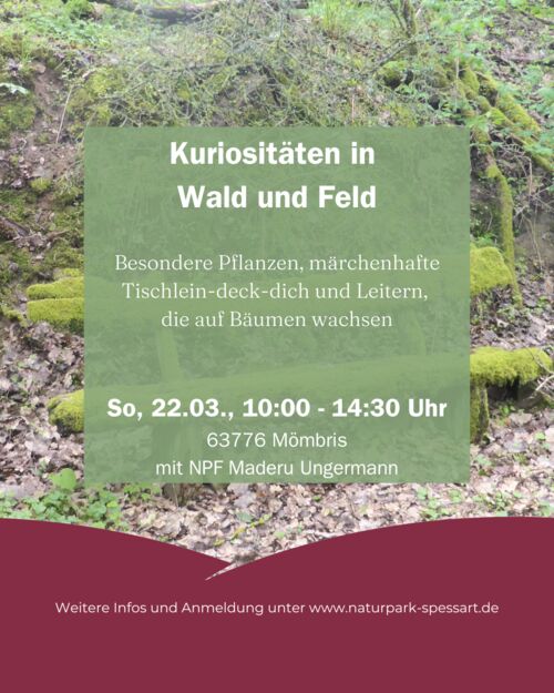 kuriositaten-in-wald-und-feld