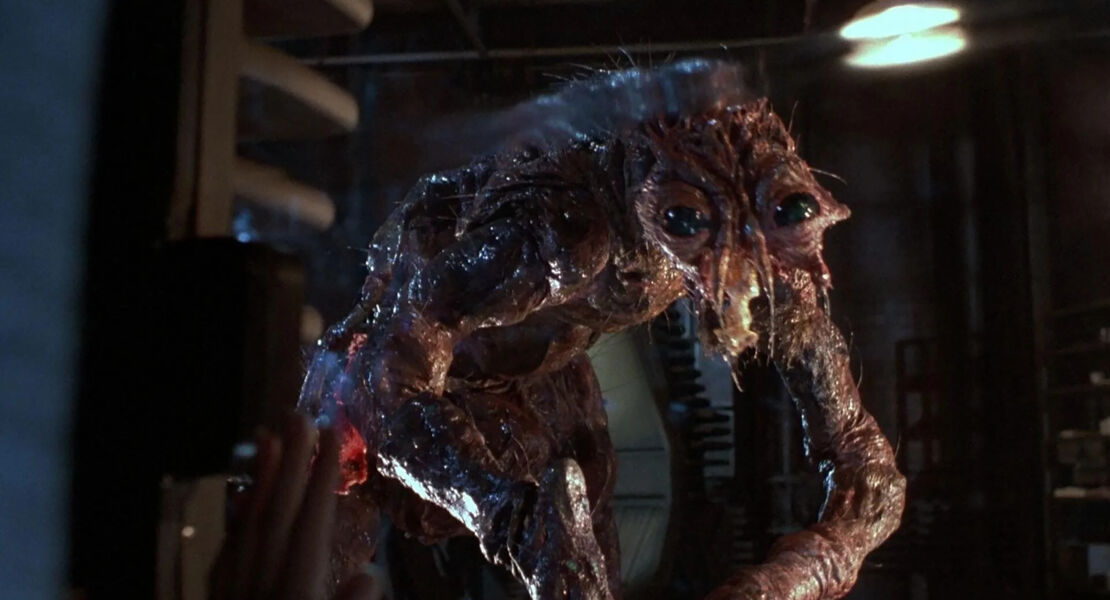 zum-40-jahrigen-jubilaum-die-fliege