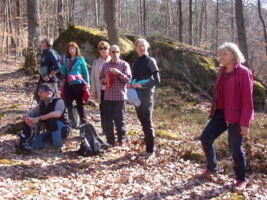 Halbtageswanderung Fabrikschleichach - Neuschleichach