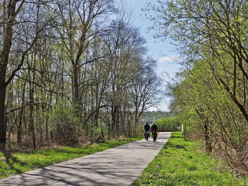 fahrradtour-fur-manner-schweinfurter-oberland