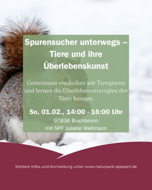 spurensucher-unterwegs-tiere-und-ihre-uberlebenskunst