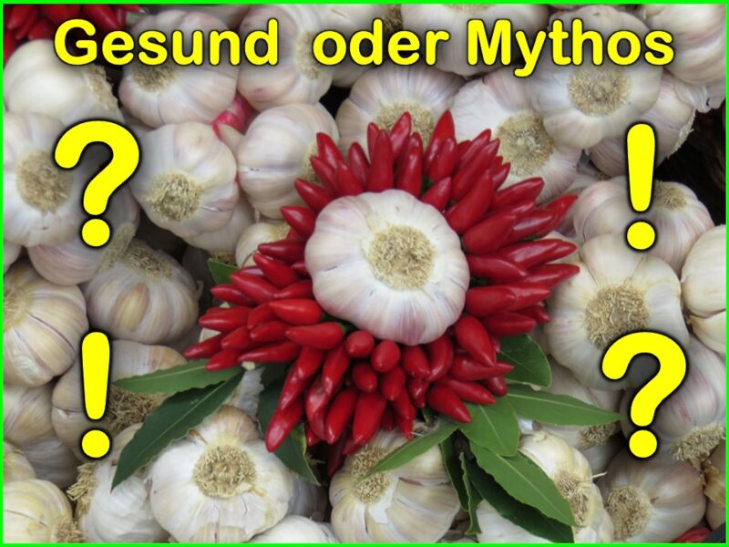 ernahrungscheck-gesund-oder-mythos