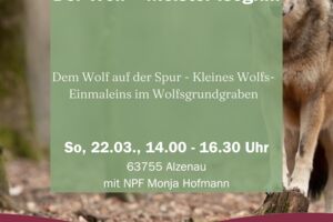 Der Wolf – Meister Isegrim